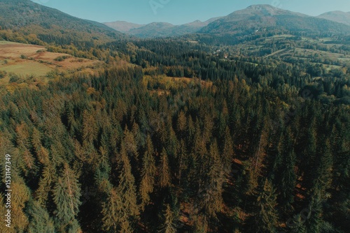 High-angle view of a dense forest, hills, and mountains
