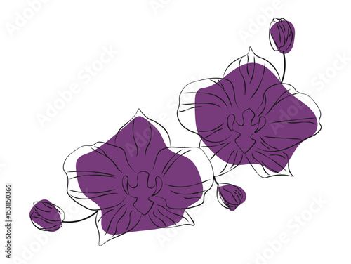 Elegant illustration of orchid flowers with buds. Minimalist line art with purple accents. Perfect for floral design, invitations, tattoo art, and nature decor