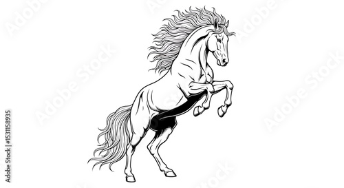 Majestic Stallion Rearing Up, Black and White Line Art Illustration