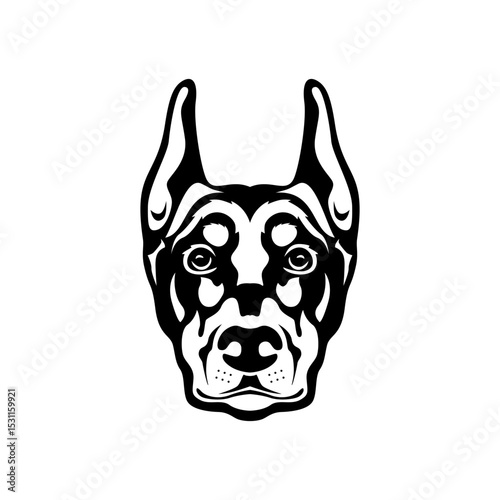 doberman dog head black white art canine illustration