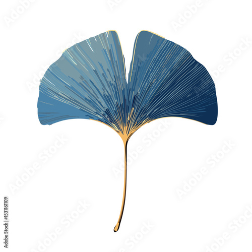 single ginkgo biloba leaf