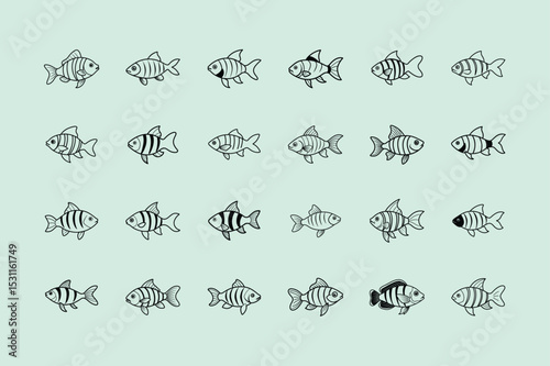 Rosy Barb, aquarium fish, line art illustration