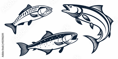 fish vector illustration
