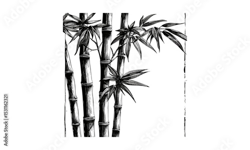 Bamboo Tree Vector Illustration, tropical forest, nature design, eco-friendly art, bamboo plant, oriental decoration, sustainable living, natural landscape, Asian tree, vector art.