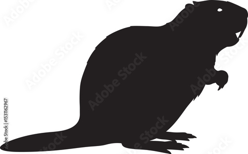 Beaver Animal black color Silhouette Vector