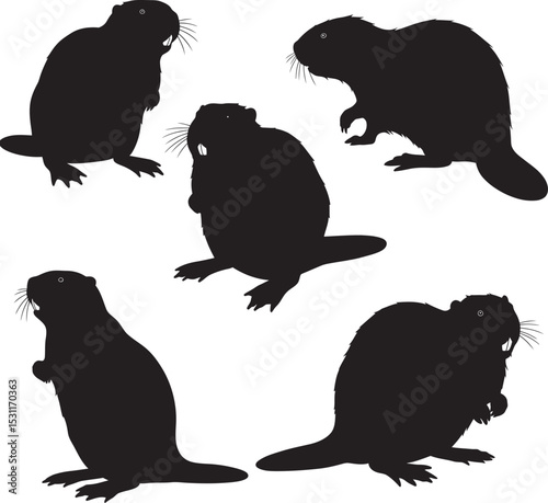 Beaver Animal black color Silhouette Vector