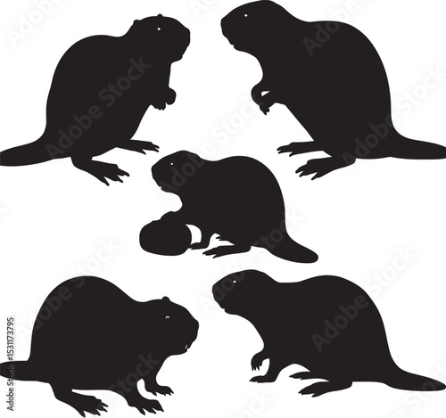 Beaver Animal black color Silhouette Vector