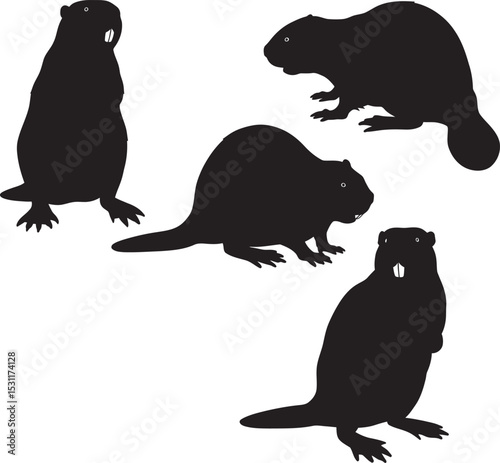 Beaver Animal black color Silhouette Vector