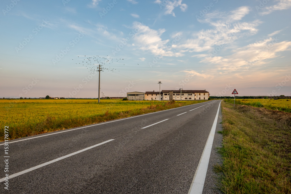 Fototapeta premium Country road through rice fields in rural Piedmont