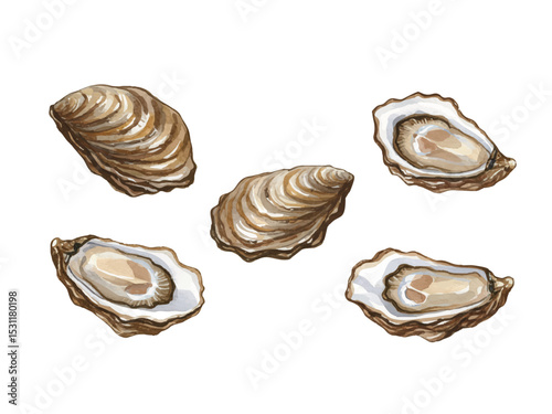 Vector watercolor Seafood / 水彩テイストのシーフードイラスト