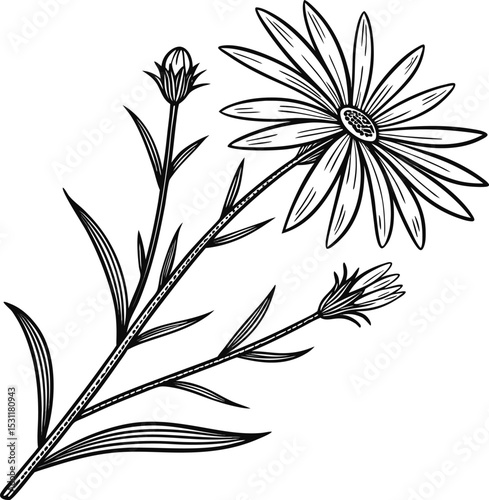 Monochromatic floral designs featuring elegant plant and leaf patterns, perfect for a seamless vintage background illustration