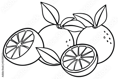Outline illustration of fresh oranges with sliced sections and green leaves for coloring pages and educational uses