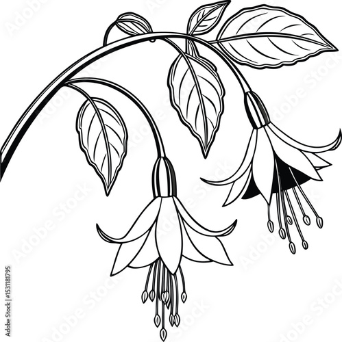 Hand-drawn vector sketch of a tree branch with floral leaf patterns, illustrating the beauty of nature's design