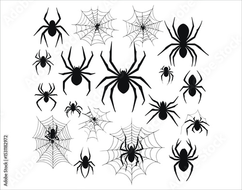 Jagged Webs and Crawling Spiders Vector Set