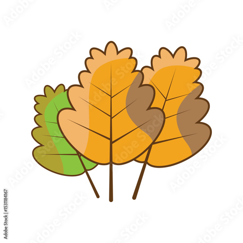 Autumn Maple symbol icon