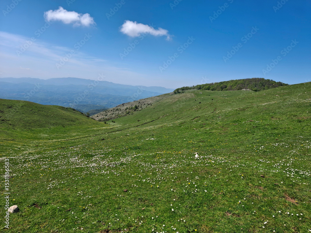 Obraz premium scenic and relaxing view of green mountain pasture
