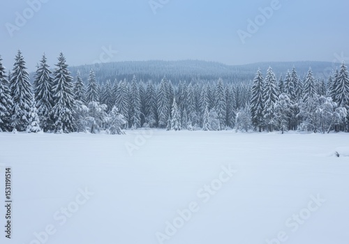 Snowy forest landscape with evergreen trees, winter scene