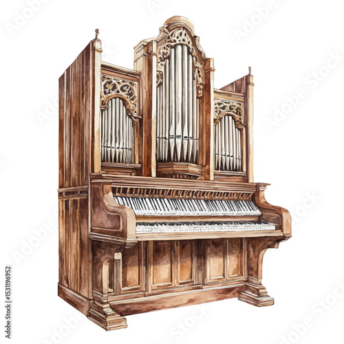 Organ, watercolor illustration vector, isolated on a white background.