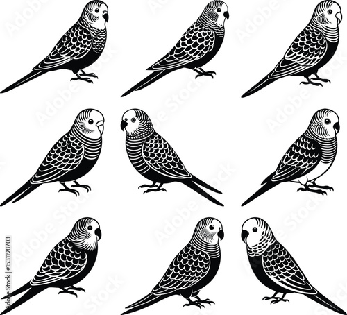 Parakeet Variations: A collection of nine stylized parakeets in monochrome, showcasing different patterns and poses.