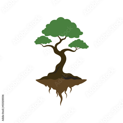 Floating Bonsai Tree With Exposed Roots