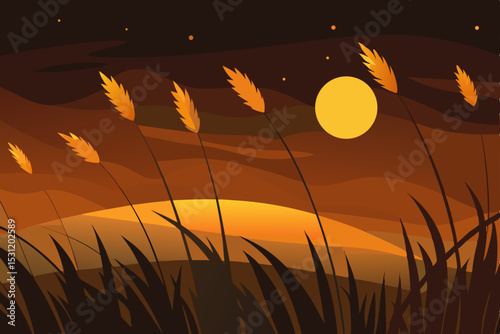 sunset in the grass