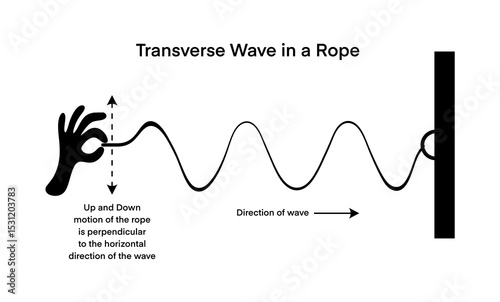 Foto Educational infographic illustrating a transverse wave in a rope, showing perpendicular motion and wave direction