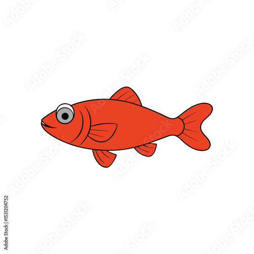 fish on a white background