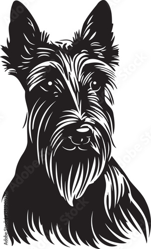 scottish terrier dog face