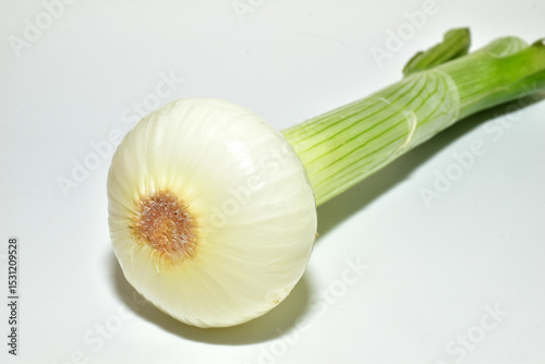 Green onions grown in the garden lie on a white background.