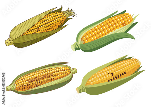 Roasted corn on the cob with husk partially peeled back in flat vector illustration