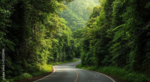 Road winds through lush green forest