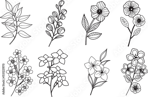 set of 12 minimalist line art wildflowers