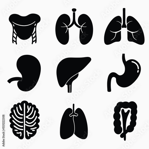 Human organ icons isolated on white background