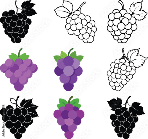 Variety of Grape Design: Illustrative designs of different grapes, a symphony of shape, color, and style, showcasing the fruit's versatility.
