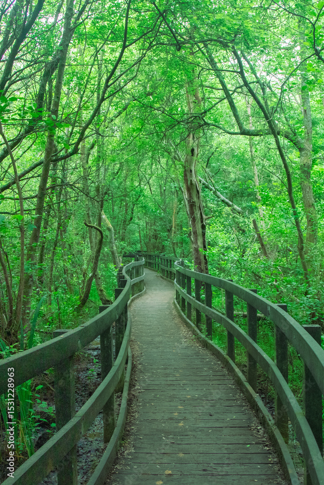 Fototapeta premium Views of A Public Country Parkland