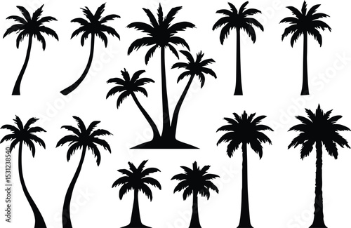 Coconut Tree silhouette Vector | Minimalist & Trendy Coconut Tree Silhouette Design | Unique & Stylish Coconut Tree Artwork for Vector design