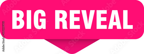 big reveal sticker. big reveal sign on transparent background