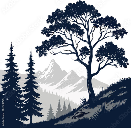 Snowy winter forest landscape with frosted pine trees and a cold, blue sky