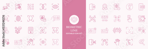 Biometric line icons set. Identity, acces, passport, id card, verification etc. Editable stroke