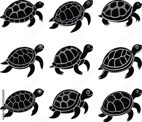 Collection of Nine Elegant Turtle Silhouettes Perfect for Design Projects