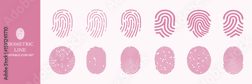 Biometric line icons set. Identity, acces, passport, id card, verification etc. Editable stroke