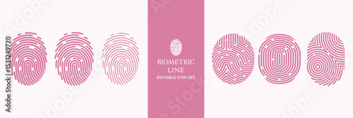Biometric line icons set. Identity, acces, passport, id card, verification etc. Editable stroke