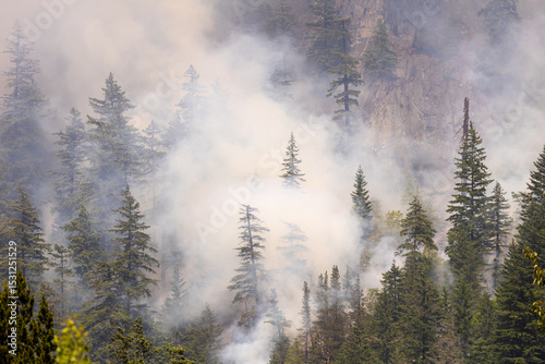 Konstfotografi Forest Fire Smoke Rising in the Pines of Squamish, British Columbia, Canada