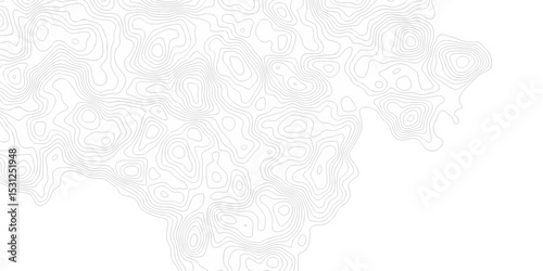 Vector geographic contour map. Topography map background. Black and white wave Seamless line. Topography relief. White wave paper curved abstract. Topographic map patterns, topography line map.