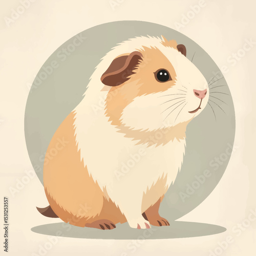 Guinea pig sitting calmly against a minimalist background
