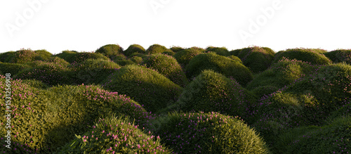 Hills with grass on a transparent background. 3D rendering.	
