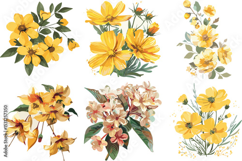 set of kemuning flowers isolated on white