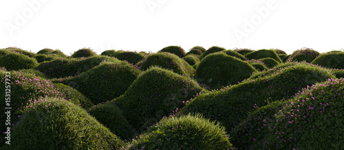 Hills with grass on a transparent background. 3D rendering.	

