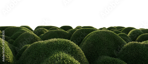 Hills with grass on a transparent background. 3D rendering.	
