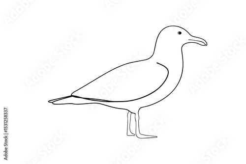 Simple line drawing of a seagull bird outline